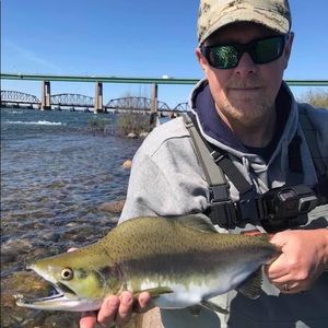 Meet your Posher, Jeff